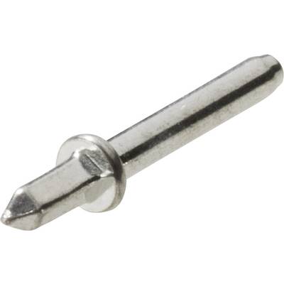 En silverfärgad skruv med flat skalle och spetsig ände, lämplig för fästning av metalldelar.