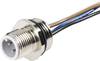 Hirschmann 932 916-206-100 Sensor/ställdon-kontakt, konfektionerad M12 Kontakt hane inbyggd 100 st