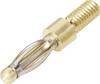 Schnepp EFK 2400 Labbpropp Kontakt hane inbyggd vertikal Stift-Ø: 2.4 mm Silver 1 st