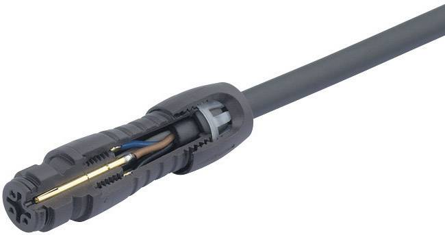 En grå kabel med ett avskaljat ände som visar olika färgade trådar: brun, blå och gul-grön.