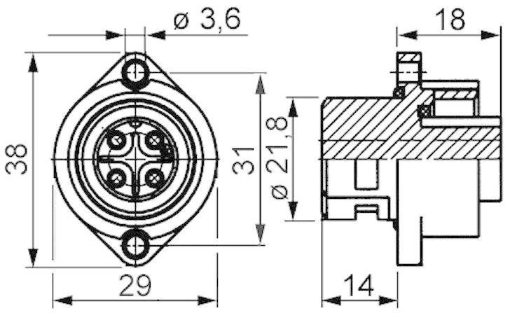 Teknisk ritning av en kontakt med dimensioner: 38 mm höjd, 29 mm bredd. Två vyer: Frontvy visar fyra stift, sidovy visar intern struktur.