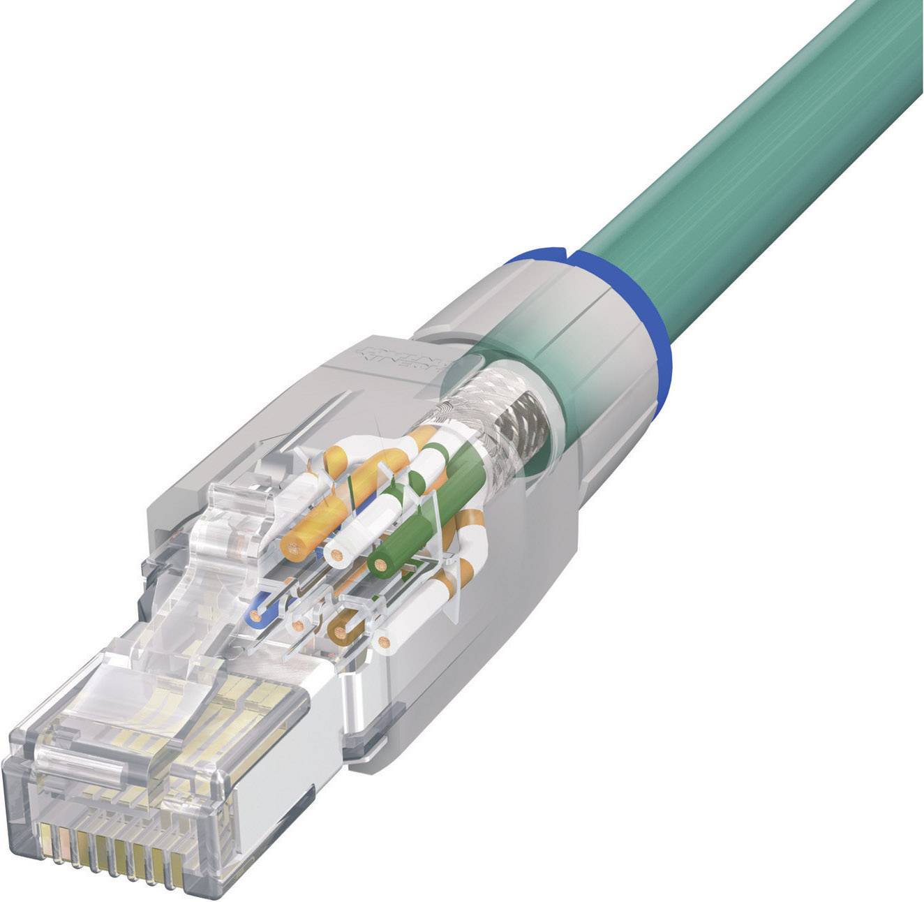 En grön Ethernet-kabel med en transparent RJ-45-kontakt, där flerfärgade trådar är synliga, på vit bakgrund.