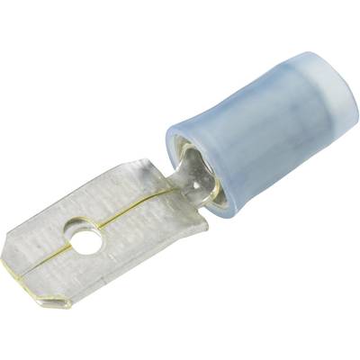 TE Connectivity 140971-2 Flatstiftkontakt Anslutningsbredd: 6.3 mm Anslutningstjocklek: 0.8 mm 180 ° Delisolerad Blå 1 s