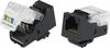TRU COMPONENTS 93014c936 Moduljack, verktygslöst 1572349 Hona rak Svart 1 st
