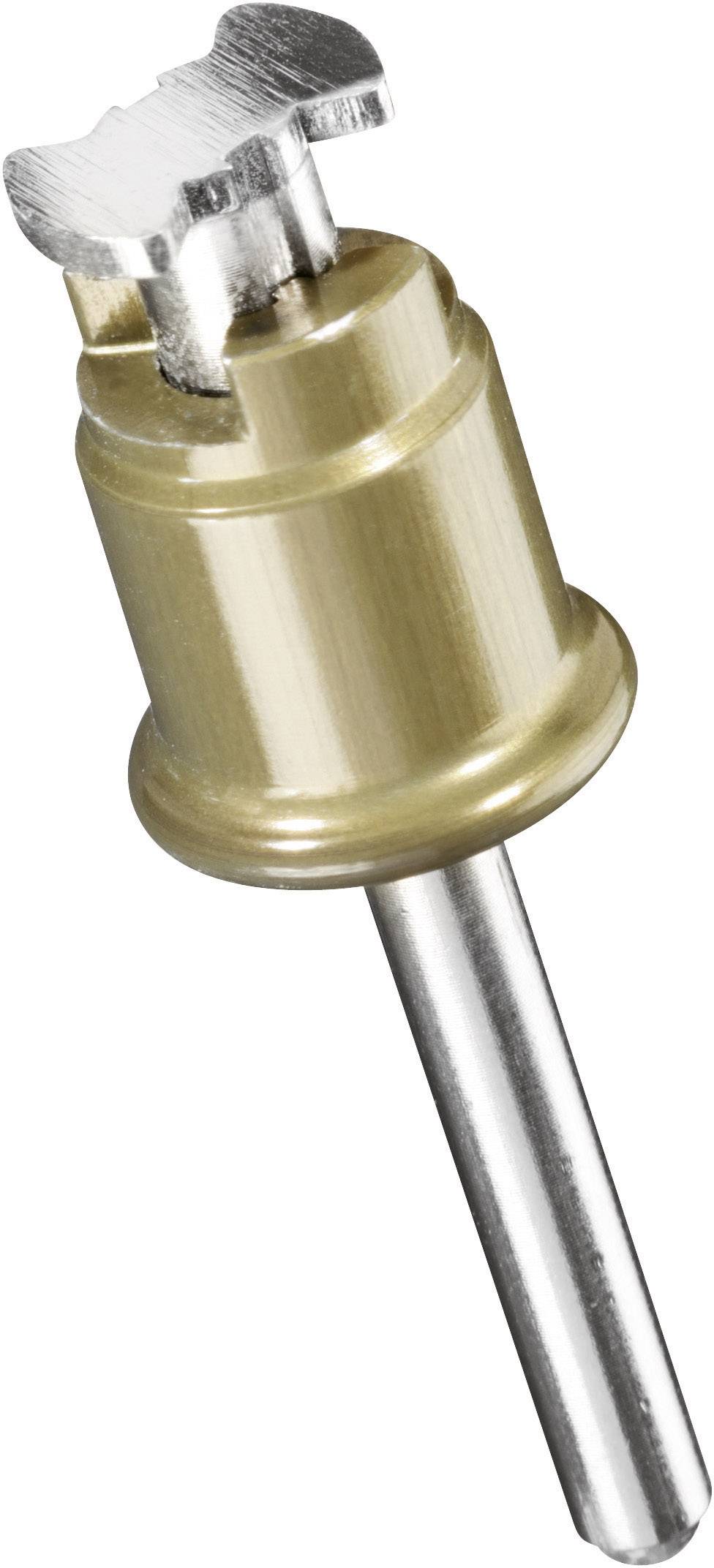 En guldfarfärgad metallexpander med cylindrisk skaft och tandad sänkt huvud. Används för att ta bort expandrar.