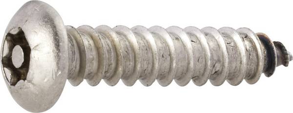 TOOLCRAFT 88114 Linsplåtskruvar  4.2 mm 13 mm T-profil med stift    Rostfritt stål  10 st