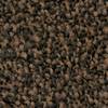 COBA Europe LM010501 Cobawash Ingångsmatta (L x B x H) 850 x 600 x 9 mm Svart, Brun