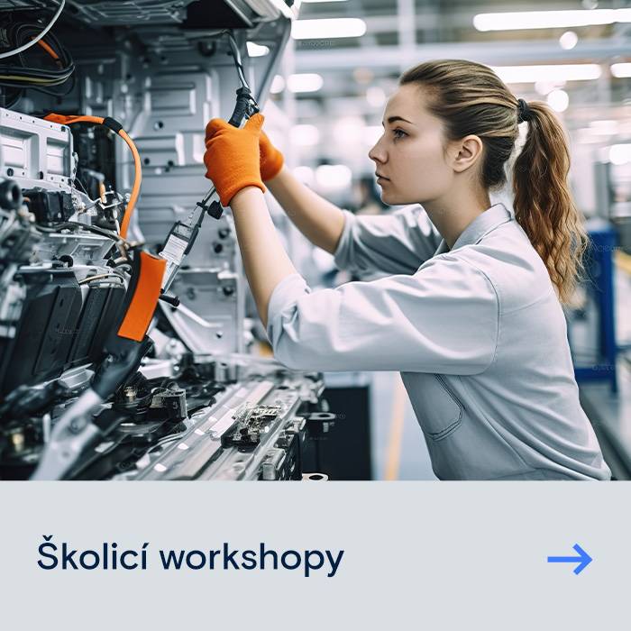 Školicí workshopy