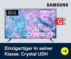 Samsung LED-TV 163 cm 65 Zoll