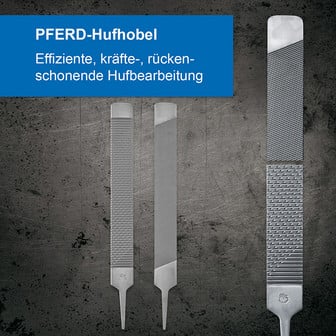 Pferd