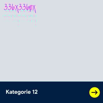 Kategorie 12