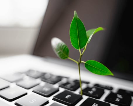 Eine grüne Pflanze wächst aus der Tastatur eines Laptops.