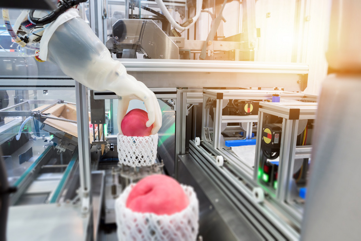 Ein Roboterarm platziert rote Früchte in eine Verpackung auf einer automatisierten Produktionslinie.