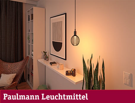 Paulmann Leuchtmittel