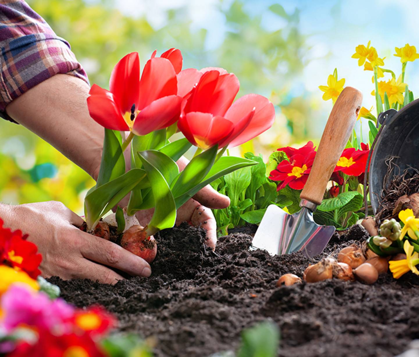 Gartenprojekte zur Bepflanzung