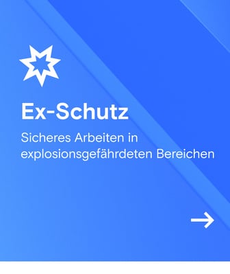 Ex-Schutz