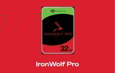 Ein roter Kasten zeigt eine interne Festplatte mit einem grünen, schwarzen und roten Aufkleber, der das IronWolf-Logo und den Schriftzug "IronWolf Pro" trägt, darunter steht in weißer Schrift "IronWolf Pro".