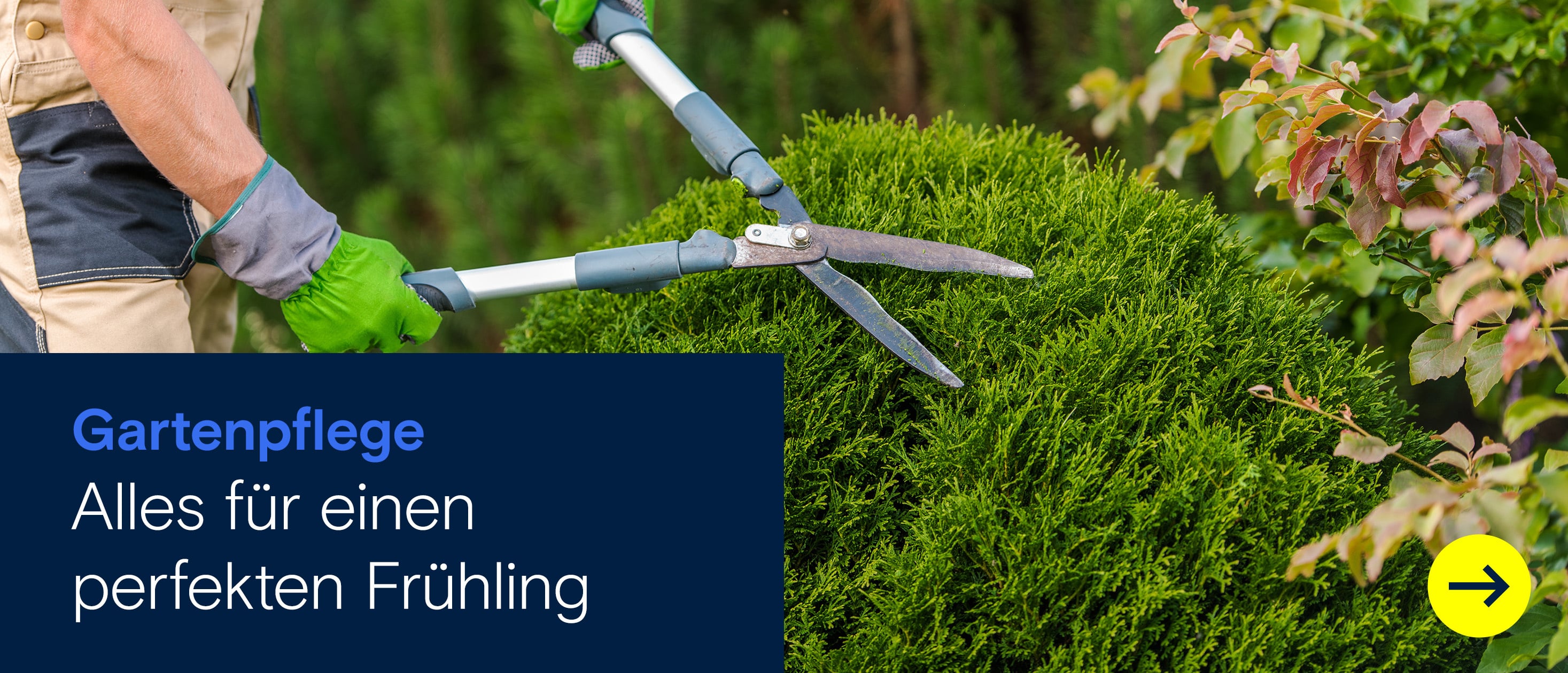 Gartenpflege im Frühling: Person schneidet mit Heckenschere einen Strauch, Text ‚Alles für einen perfekten Frühling‘.