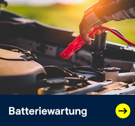 Batteriewartung