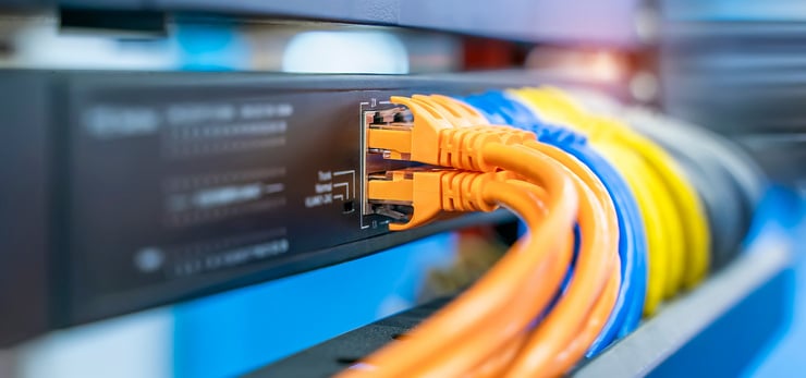 Farbige Netzwerkkabel sind mit den Ethernet-Anschlüssen eines Netzwerk-Switches verbunden