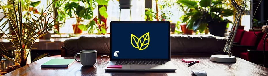  Ein geöffneter Laptop steht auf einem Schreibtisch umgeben von Zimmerpflanzen und zeigt auf seinem Bildschirm ein hellgelbes Blattlogo auf dunklem Hintergrund.