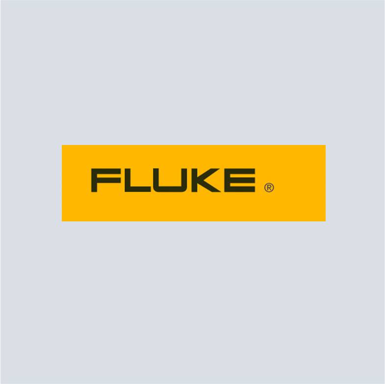 Fluke