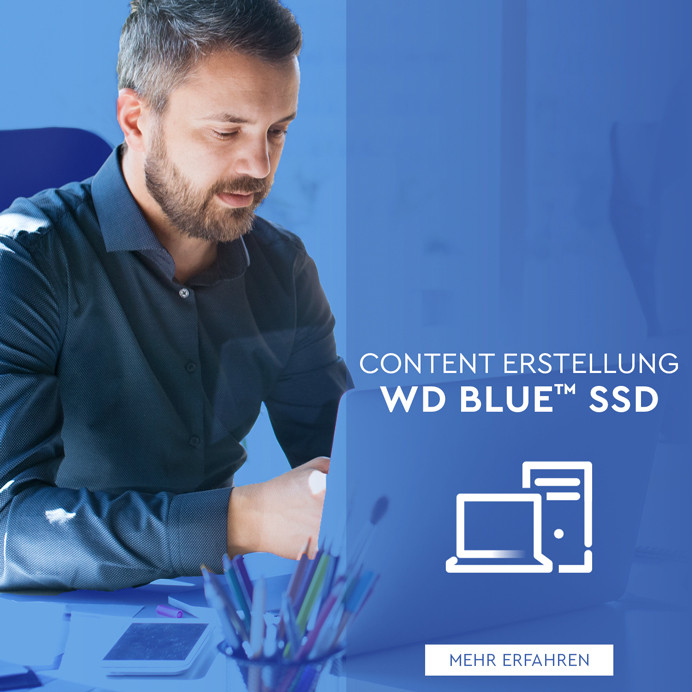 WD BLUE SSD