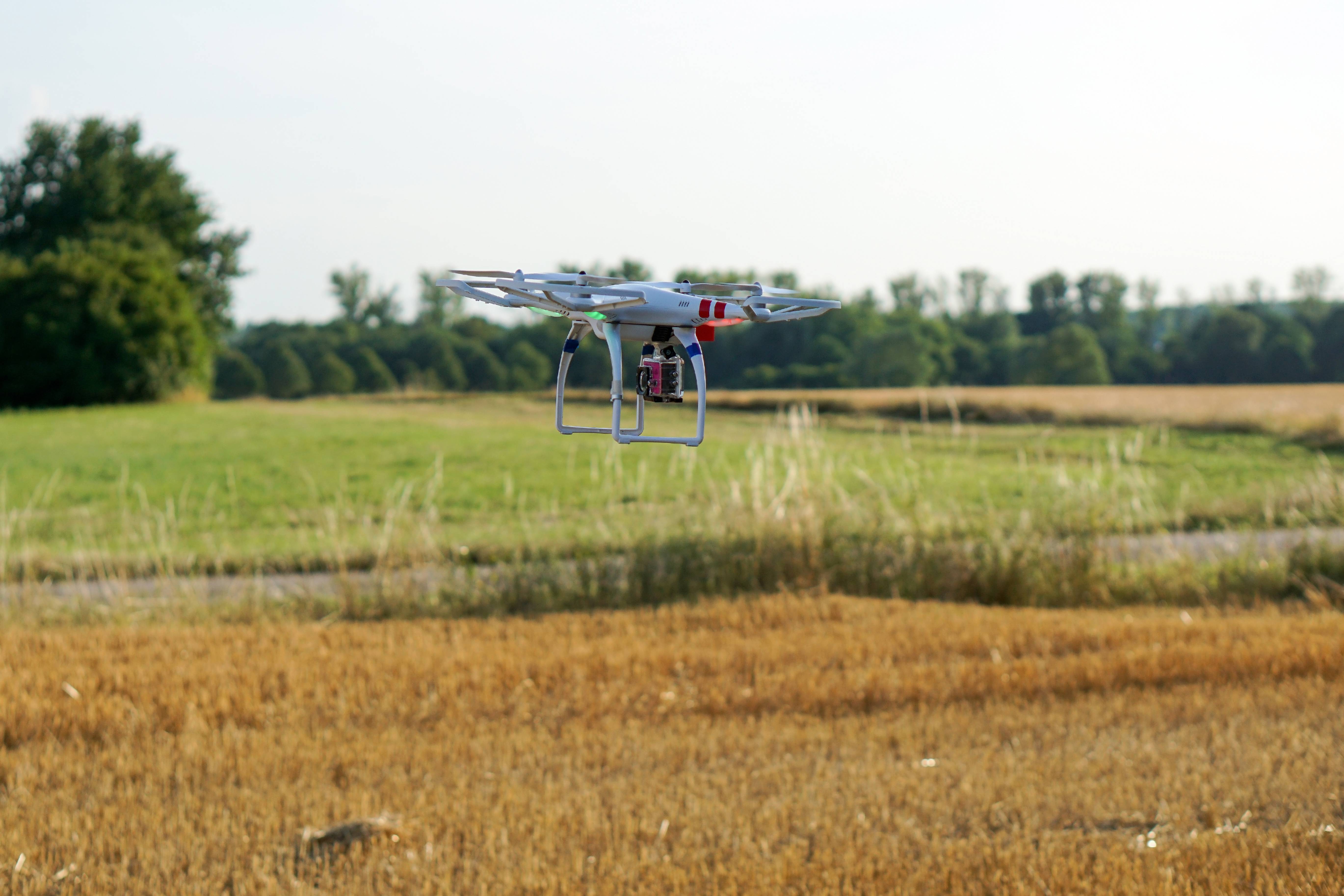 Ein quadcopter fliegt über ein landwirtschaftliches Feld mit grünem Gras und Getreide.