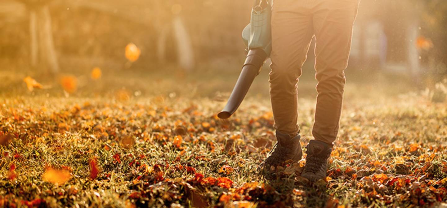 Herbst bedeutet: Buntes Herbstlaub