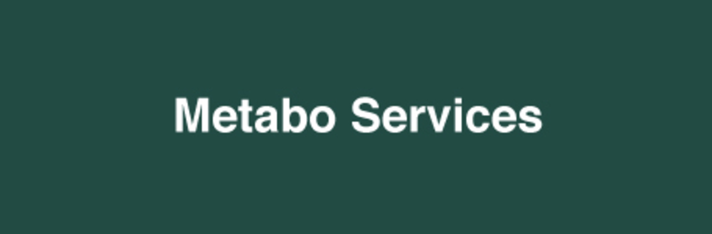 Metabo Services