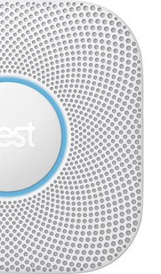 Nest