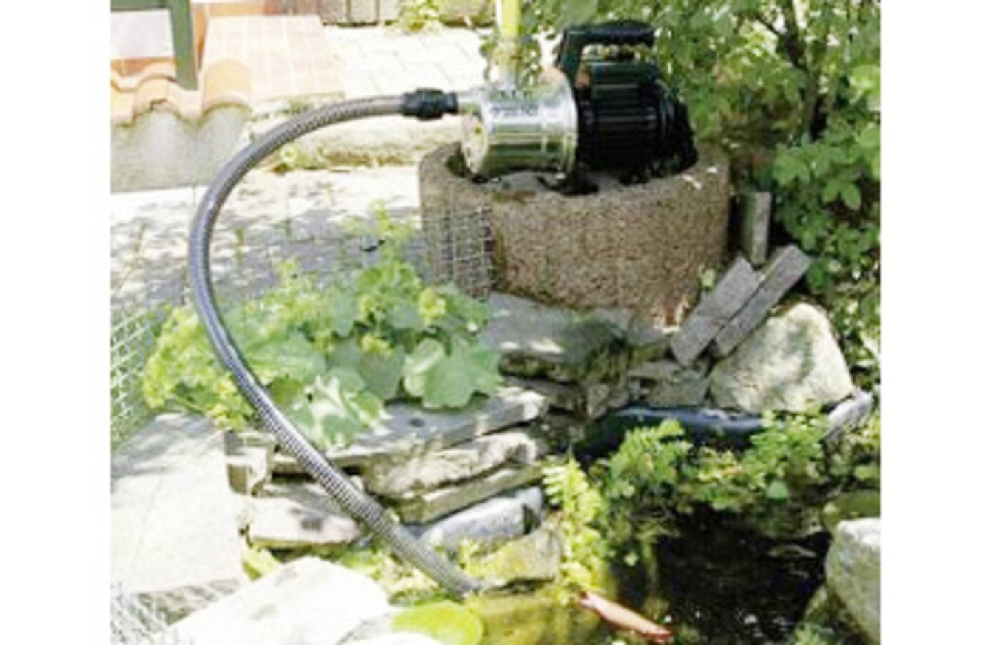 Kreiselpumpe pumpt Wasser aus Teich