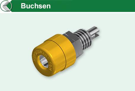 Buchsen