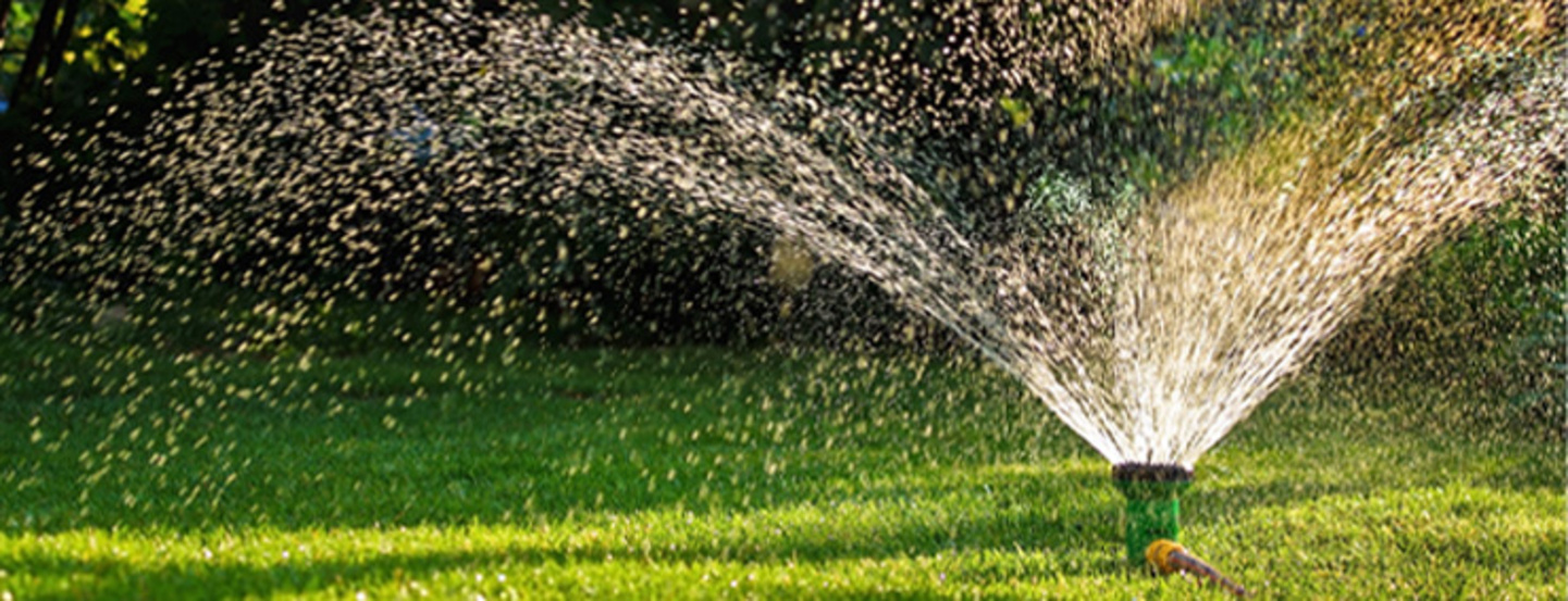 Richtig bewässern spart Geld und Zeit - Setzen Sie auf Bewässerungscomputer »