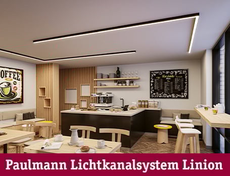 Paulmann Lichtkanalsystem Linion