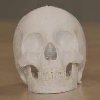 3D-Druck Lehrmittel
