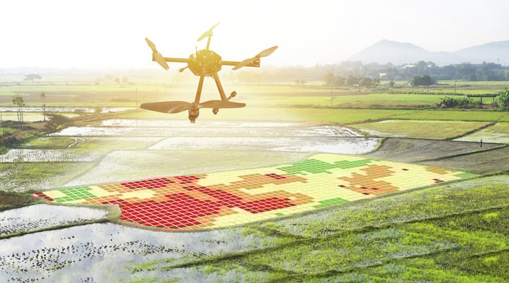Drohne fliegt über landwirtschaftliche Felder mit einer digitalen Wärmebildkarte auf dem Boden.
