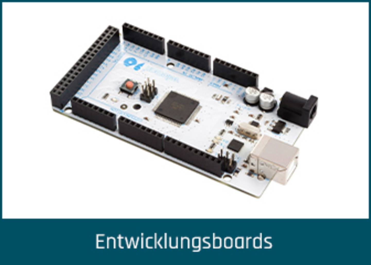 Entwicklungsboards