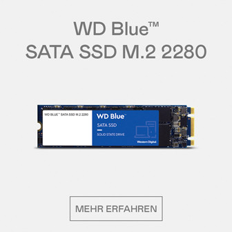 WD Blue SATA SSD M.2 2280
