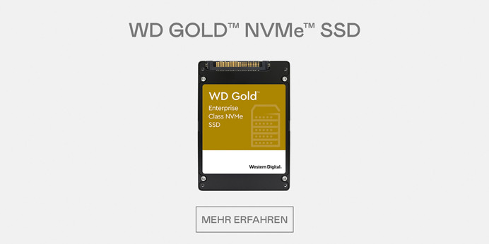 WD GOLD NVMe SSD