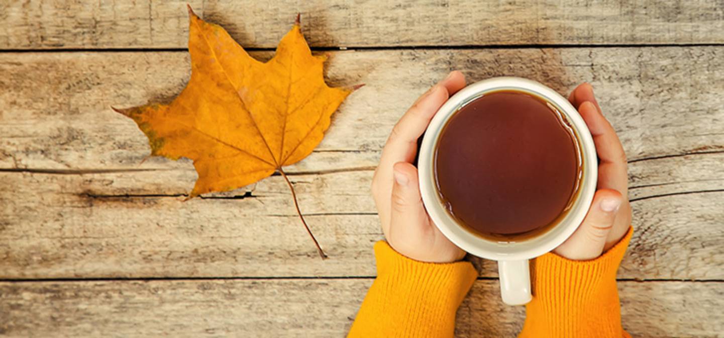 Herbst bedeutet: Die Teesaison ist eröffnet