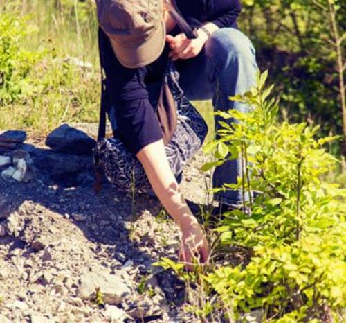 Geocaching ist ein beliebtes Hobby in der Natur