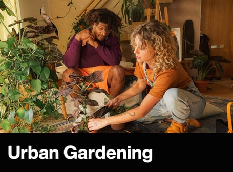 Zwei Personen pflegen gemeinsam Zimmerpflanzen auf einer Schutzmatte in einem gemütlich eingerichteten Wohnraum.