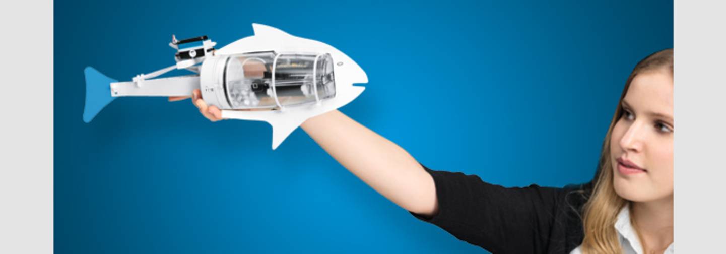 Festo Bionics