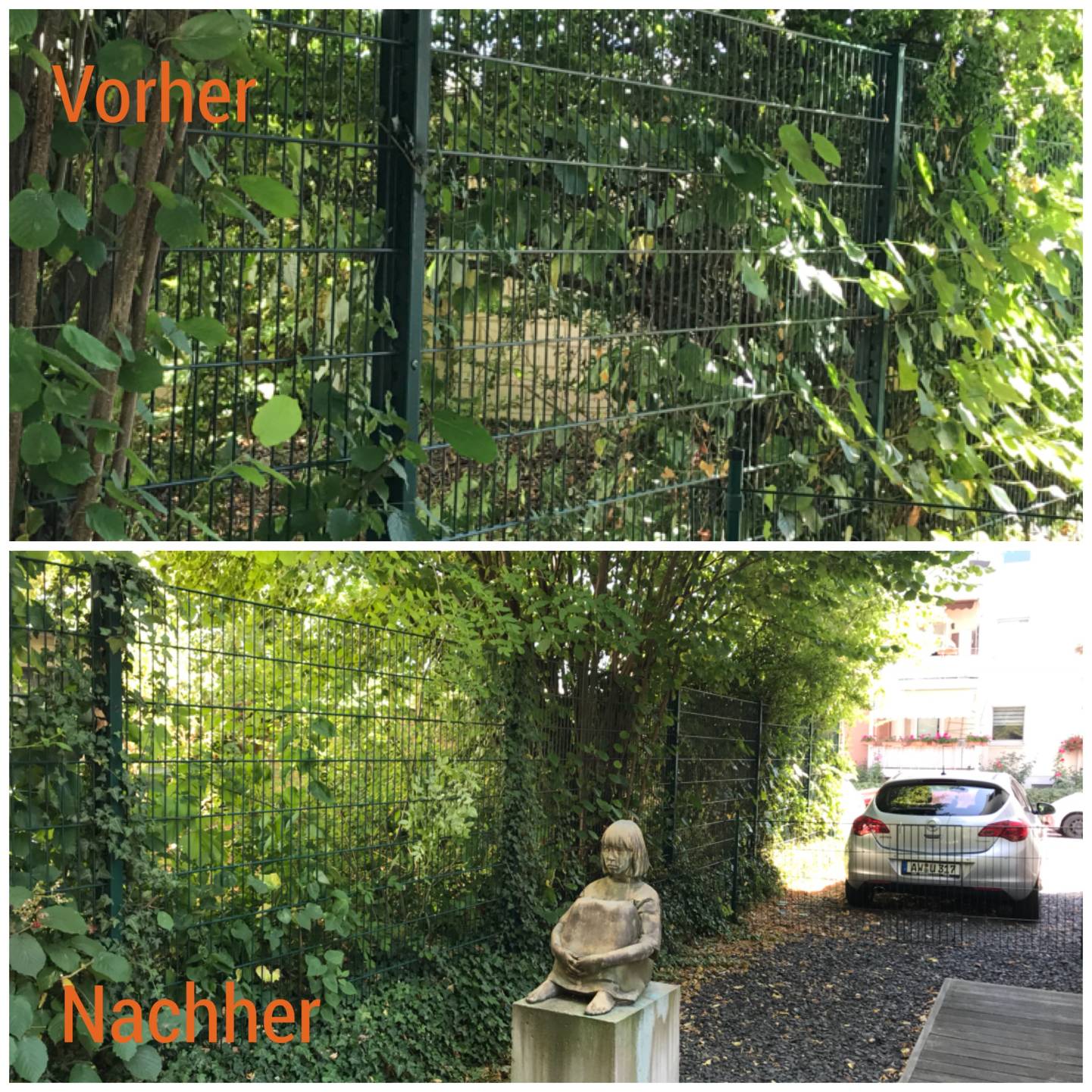 Vorher_Nachher.JPG