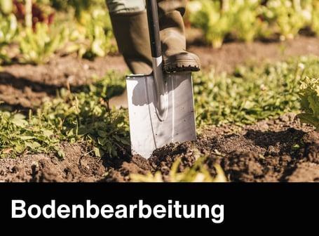 Nahaufnahme einer Person in Gummistiefeln, die in einem Garten mit einem Spaten in die Erde sticht, um den Boden umzugraben.