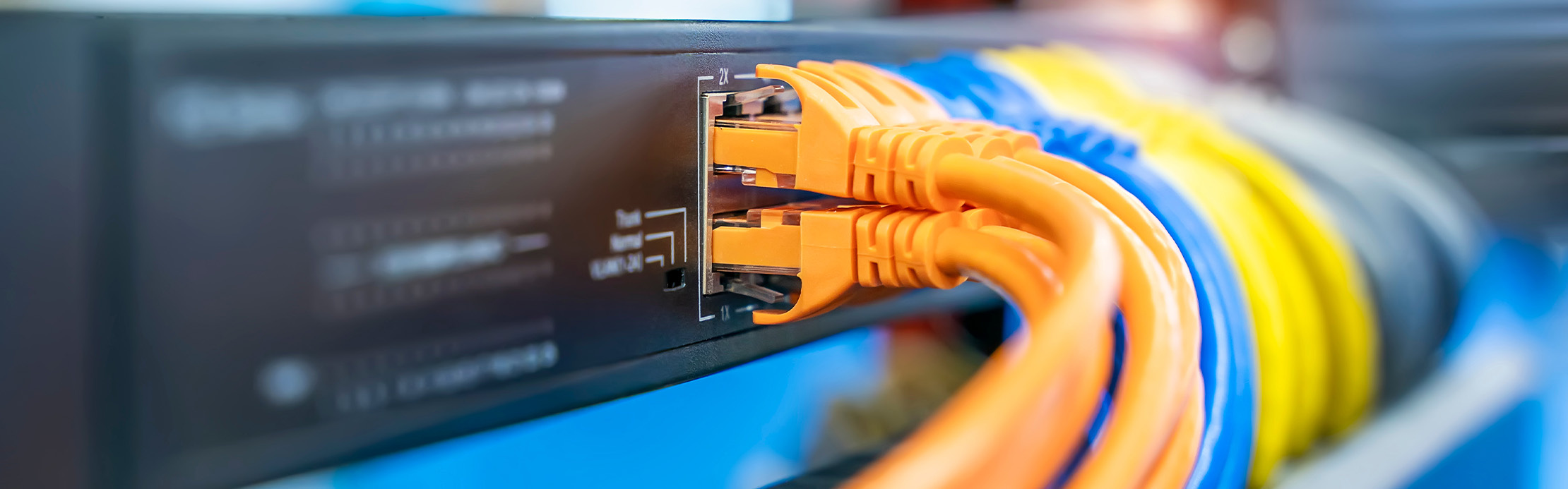 Farbige Netzwerkkabel an den Ethernet-Anschlüssen eines Netzwerk-Switches