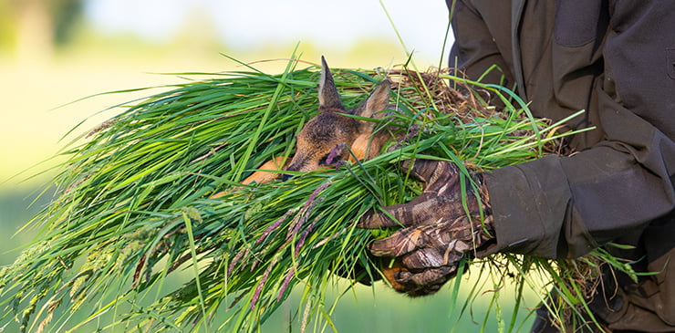 Eine Person in Tarnkleidung trägt ein Rehkitz, das in frisches Gras eingewickelt ist.