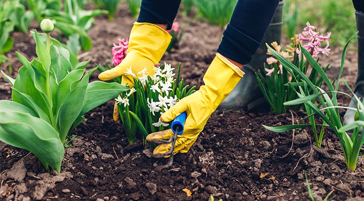 Gartenhandgeräte →