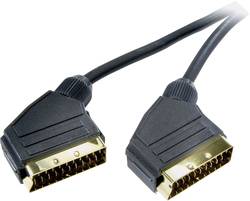 SCART Stecker